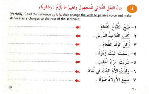 Exc4_Maa_Pref_P60.png