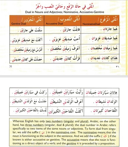 Page 31_32_Dual Noun.jpg